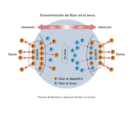 Beautifil II - Imagen 2